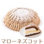 誕生日ケーキ バースデーケーキ ドーム型 マローネズコット マロンケーキ 7号 21.0cm 約820g