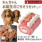 わんちゃんお誕生日ごちそうセット ミニロールケーキ（苺）と 無添加 手作り 犬用ごはん 鹿肉のラグーのセット 送料無料(※一部地域除く)