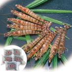  Kumamoto * Okinawa ....... рефрижератор море .C отдаленный остров рассылка не возможно 