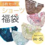 ショーツ 大きいサイズ レディース 福袋 5枚セット パンティ スタンダード トリコット M L LL 3L 4L 5L きれいめ ノーマル
