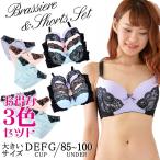 大きいサイズ レディース 下着 ブラジャー ブラショーツセット D85 D90 D95 D100 E85 E90 E95 E100 F85 F90 F95 F100 G85 G90 G95 G100 ぽっちゃり 3色セット