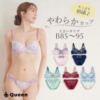 ブラショーツセット 大きいサイズ レディース 婦人下着 上下セット 刺繍 レース パッド付き ゆったり B85 B90 B95