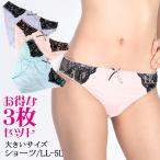 大きいサイズ ショーツ ３枚セット 下着 ランジェリー LL 3L 4L 5L ピンク ブルー パープル 新入荷 メール便可