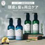 WELLP ウェルプ 薬用スカルプケア シャンプー トリートメント[医薬部外品]／スカルプケア ローション [化粧品]