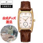 H13431553HAMILTON...