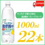 強炭酸水 1l サンガリ