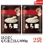 ショッピングもち麦 もち麦 はくばく もち麦ごはん 800g 2袋 送料無料