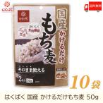 もち麦 はくばく 国産 かけるだけもち麦 50g ×10袋 送料無料