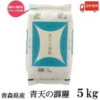 青森県産 新米 令和7年
