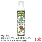  манто va100% итальянский extra балка Gin оливковый масло спрей 228g× 1 шт. 