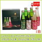 ショッピングジュース 青森りんごジュース ギフト シャイニー スパークリングアップル 詰合せ 3種×各2本 SP-B 送料無料