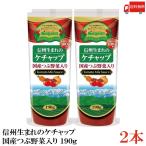 nagano помидор Shinshu рождение. кетчуп местного производства .. овощи ввод 190g ×2 шт бесплатная доставка 