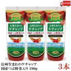 nagano помидор Shinshu рождение. кетчуп местного производства .. овощи ввод 190g ×3 шт бесплатная доставка 