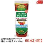 ナガノトマト 信州生まれのケチャ�