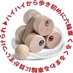 六輪車S（ハイハイから歩き始めの木のおもちゃ プルトーイ ）日本グッドトイ受賞 木のおもちゃ 出産祝い 知育玩具 車 プルトイ ランキング 赤ちゃん