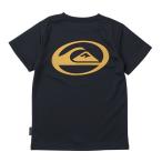 (2 день -13 день &15 день. бонус магазин +10%) outlet цена Quick Silver QUIKSILVER SATURN LOGO SS YOUTH Kids la