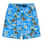 (25 день -30 день. бонус магазин +5%)OUTLET Quiksilver Quick Silver EVERYDAY STRAIGH