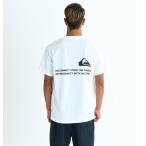 (19 день -1 день. бонус магазин +10%) outlet цена распродажа SALE Quiksilver Quick Silver TEENAGE RIOT SS