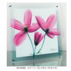 X RAY ガラス アート ジャーニー クレマチス Mサイズ XR-05006