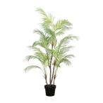 81023 поддельный tree areka cocos nucifera 