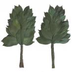  консервированный .(32cm) консервированный . один на SC-80690