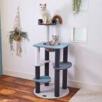 D7415YO *1130_11 вмятина [ outlet ] кошка для tower башня для кошки petioW27184 прозрачный миска & bed модель не использовался товары для домашних животных 