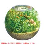 D8432YO *[ outlet ]MeGreen свежий . водоросли имеется jeks стакан aqua sphere комплект аквариум комплект песок имеется не использовался 