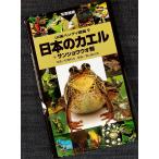日本のカエル ＋ サンショウウオ類　─山渓ハンディ図鑑