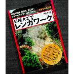 日曜大工でレンガワーク　―素材の知識、使用法、施工例!