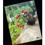 ma...- мир . самый .... бонсай ( Corona * книги )