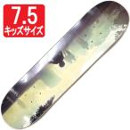[7.5" панель скейтборд тюльпан ]Chuulip Ayumu 7.5"