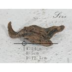 昆虫 止まり木 爬虫類　カブトムシ クワガタ 止まり木 両生類 のぼり木  _ka0191