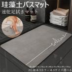 珪藻土 バスマット 大判 サイズ 40x60cm 45x70cm 50x80cm 60x90cm 80x120cm 5サイズ 2仕様 3カラー 選べる サラサラ 速乾 柔らか 割れない 珪藻土マット 足拭き