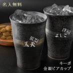 ビアグラス 名入れ ビール グラス 保温 保冷 陶器 波佐見焼 キーポ 名前入り ギフト 誕生日 還暦 記念 祝い プレゼント 男性 女性 卒業 退職