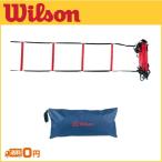 Wilson ウィルソン STARTER TRAINNING LADDER WRZ2542 テニス用品小物