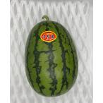  Nagasaki префектура производство маленький шар арбуз uli.4 шар 