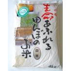 【新米入荷】【令和7