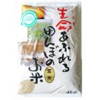 【新米入荷】【令和7