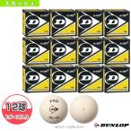  Dunlop Squash мяч [12 лампочка единица измерения ]PRO XX WHT/ Pro XX белый [DA50038]
