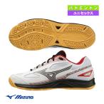  Mizuno бадминтон обувь Sky blaster 3/SKY BLASTER 3/ унисекс [71GA2345]