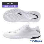  Mizuno настольный теннис обувь ue-b Drive EL2 WAVE DRIVE EL2 унисекс 81GA2501