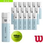  Wilson теннис мяч toliniti4 мяч TRINITI 4 Ball 4 лампочка входить ×18 упаковка WRT115200