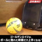 サッカーボール 2号球 家の中でドリブルできる Fungoal 小学生の自主練専用 小さいボール Amazon 楽天 ヤフー等の通販価格比較 最安値 Com