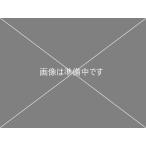 スピードラダー マニュアル キャリーバッグ 付 トレーニングラダー テニス バドミントン 卓球 コーディネーション フットワーク