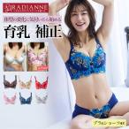 ブラジャー 補正下着 ナイトブラ 昼夜兼用 リフトアップスウィートヴァージン ブラジャー ショーツセット ラディアンヌ