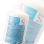 1000g TOKIO INKARAMI トキオ インカラミ トリートメント 2M酸熱 システムトリートメント サロン専売品 プロ用 美容室専売品 詰め替え用