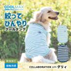 【まとめ買いクーポン対象】【10%OFF】犬 服 大型犬 接触冷感 虫よけ ラディカ グリィ コラボ COOLMAX 鹿の子タンク ドッグウエア 防虫 メール便可