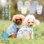 【予約5月21日順次発送】【早割20%OFF】犬 服 接触冷感 虫よけ ラディカ マリン総柄クールタンク ドッグウエア 防虫 水着素材 メール便可