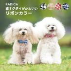 【ご愛顧価格100円OFF】犬 首輪 ラデ