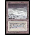 ±Ñ LEA Tundra ¥ê¥ß¥Æ¥Ã¥É¡¦¥¨¥Ç¥£¥·¥ç¥ó¡¦¥¢¥ë¥Õ¥¡ Limited Edition Alpha